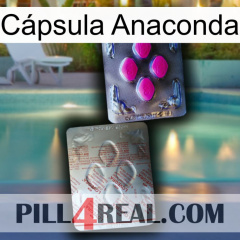 Cápsula Anaconda 38